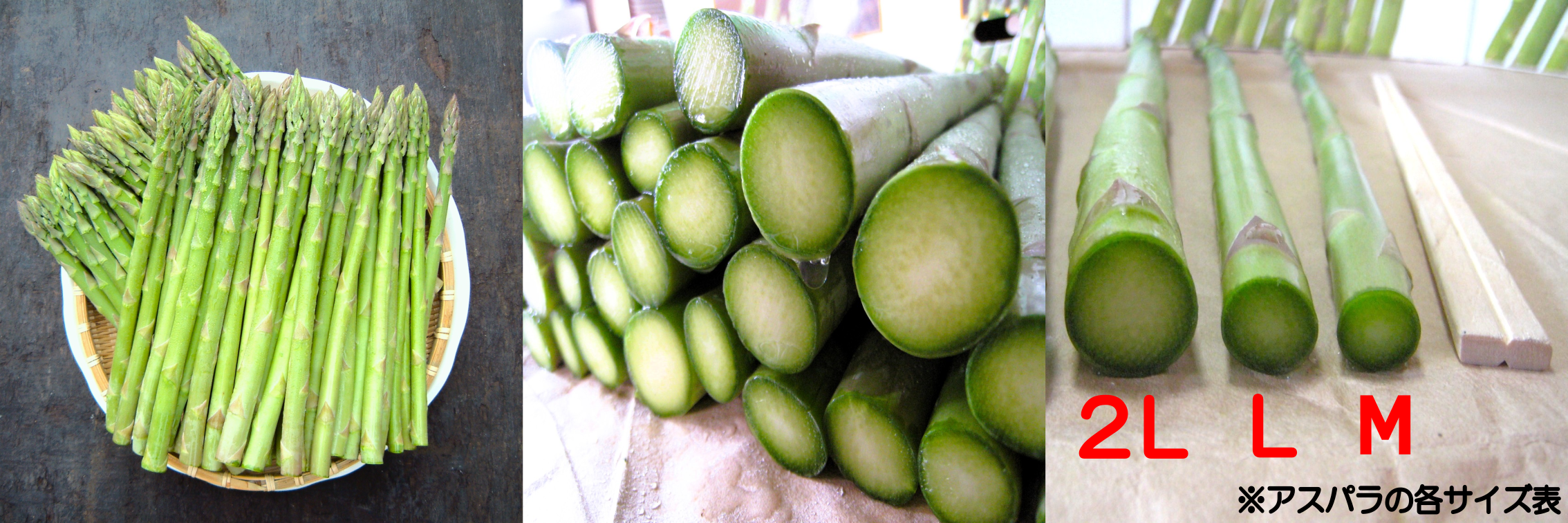 アスパラ確認画像 ミニアスパラガス ｜アスパラガス 品種の特徴 食べ方 選び方
