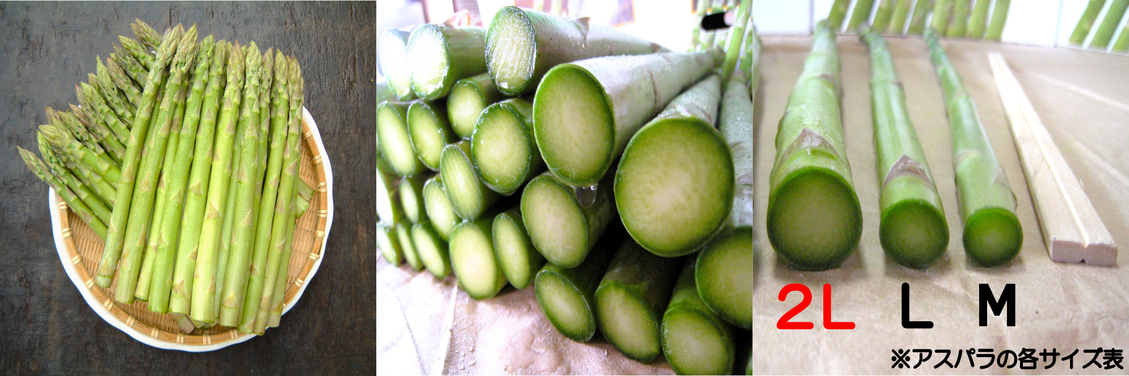 greenaspara-shopping - 北海道 富良野 野菜産地直送農家～アスパラ屋