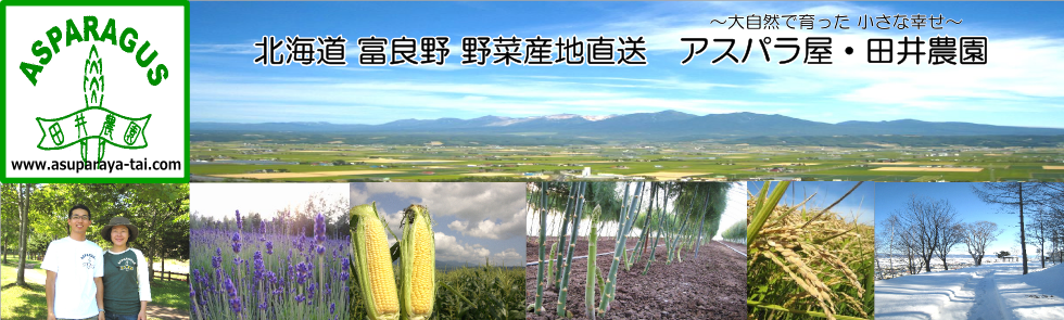 swfu/d/asuparaya.png swfu/d/asuparaya.png