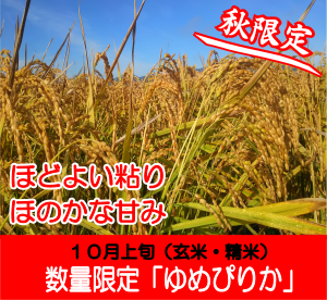 お米「ゆめぴりか」