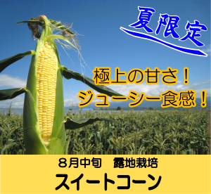 スイートコーン