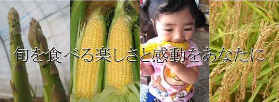 美味しい野菜には、人を笑顔にさせる不思議な力があります! 美味しい野菜には、人を笑顔にさせる不思議な力があります!