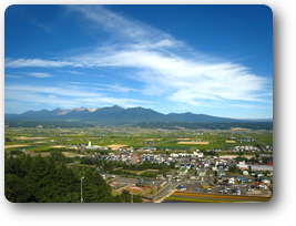 中富良野 中富良野